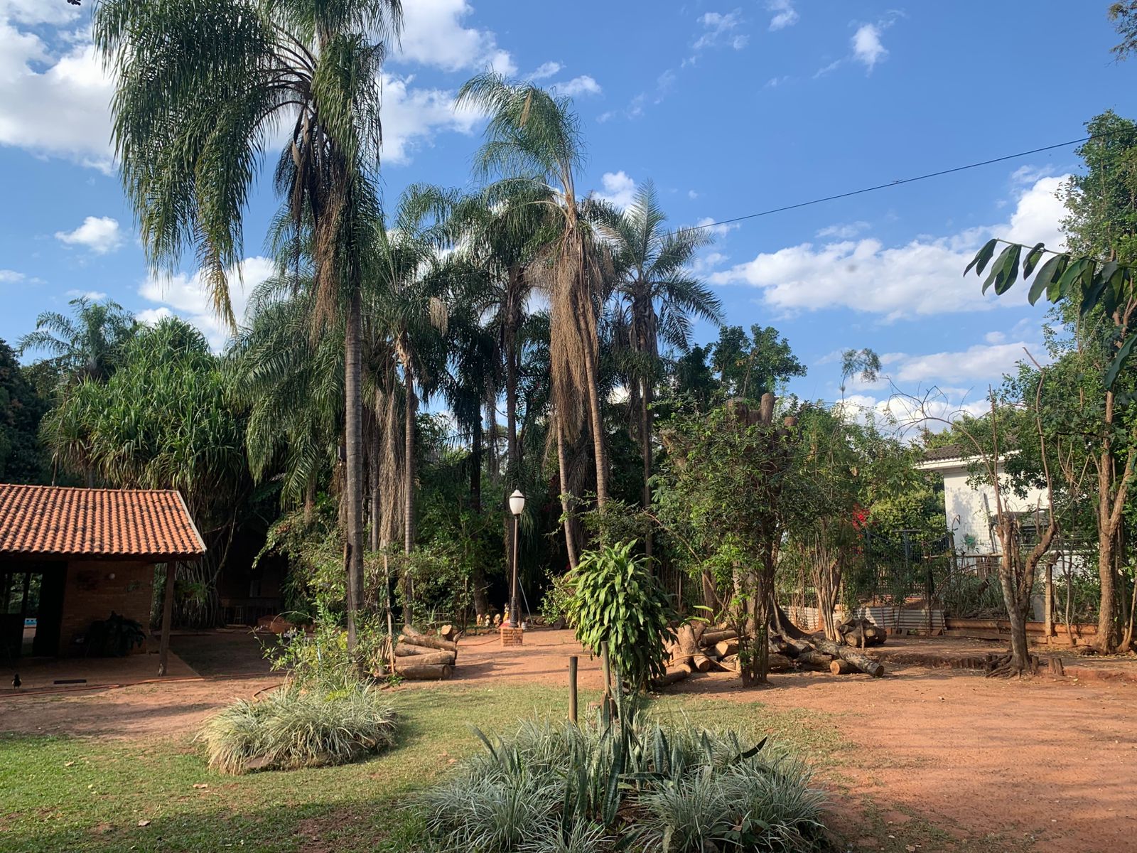 Chácara à venda em Catanduva!