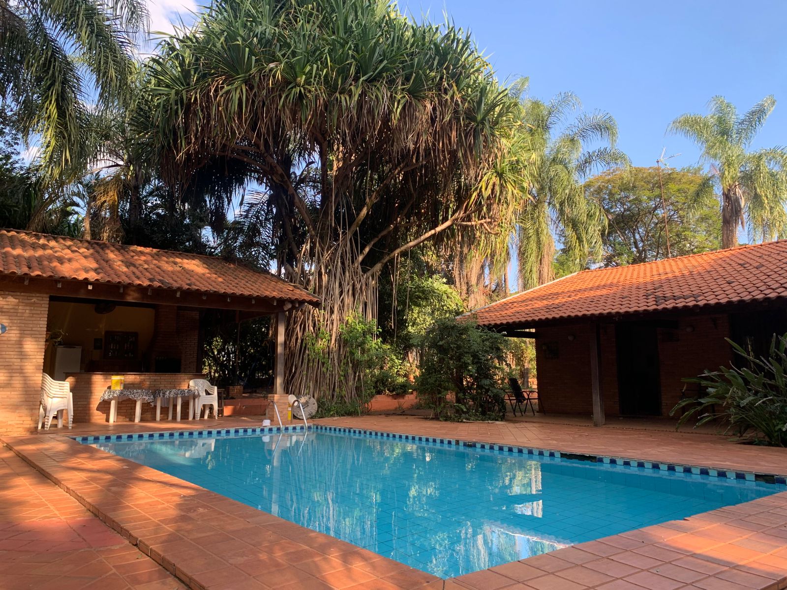 Chácara à venda em Catanduva!