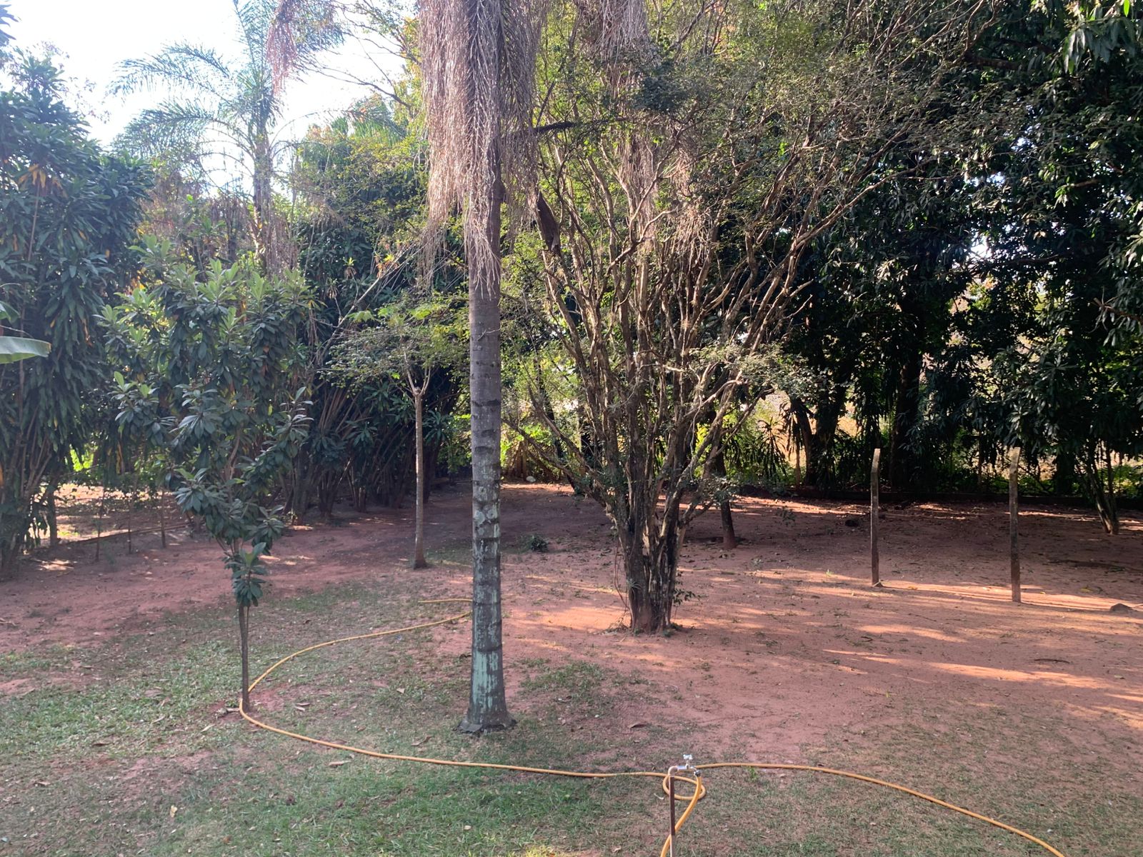 Chácara à venda em Catanduva!