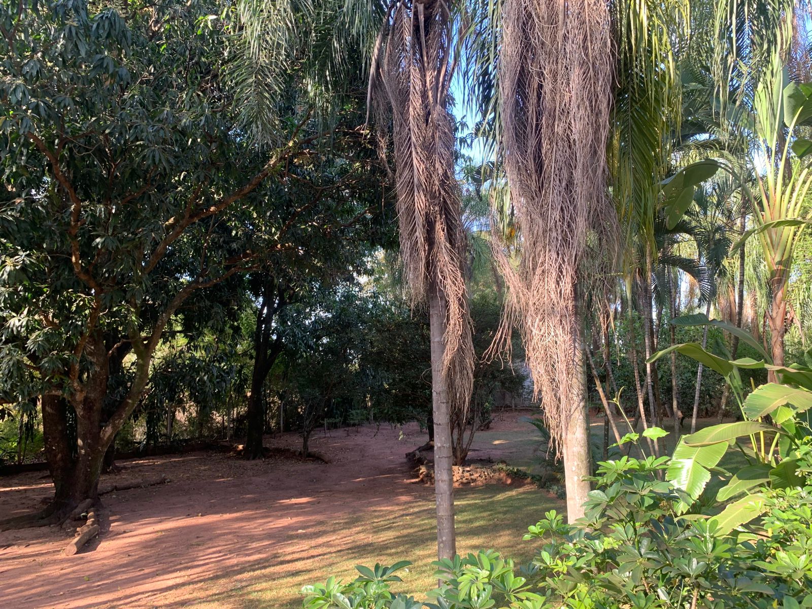 Chácara à venda em Catanduva!