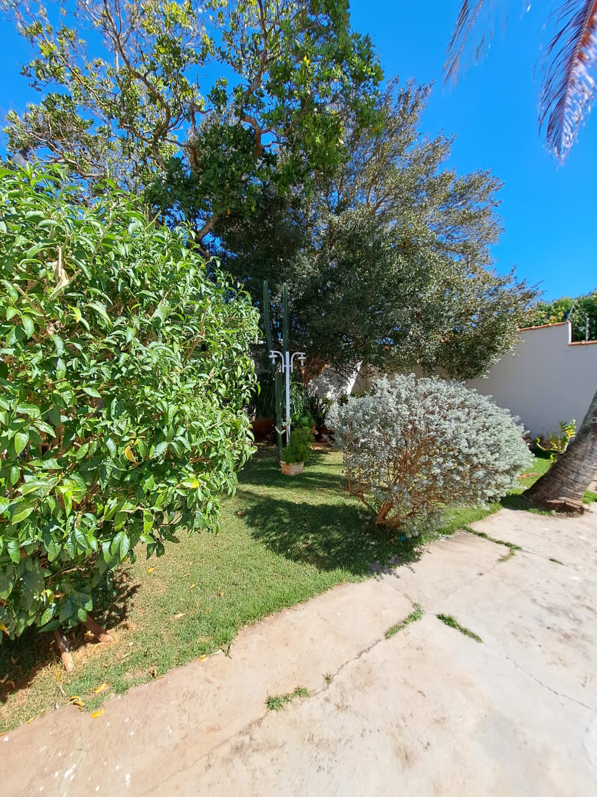 Casa à venda em Pindorama-SP