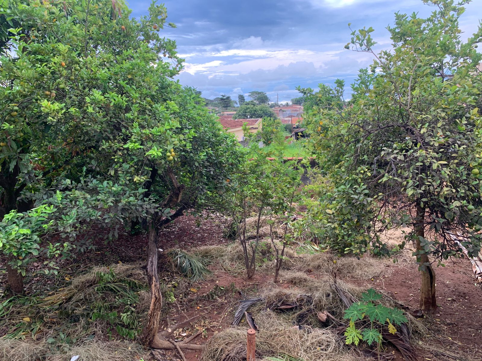 Casa à venda no Residencial Flamingo!